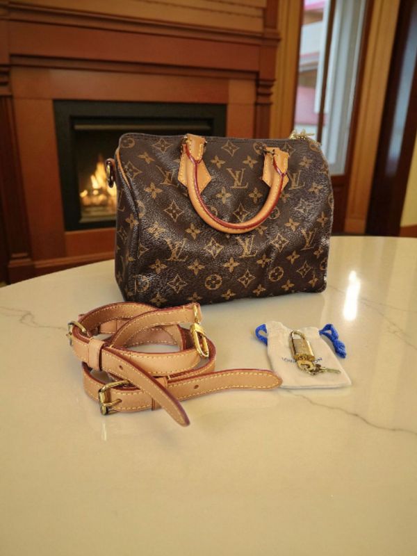 Louis Vuitton Speedy 25