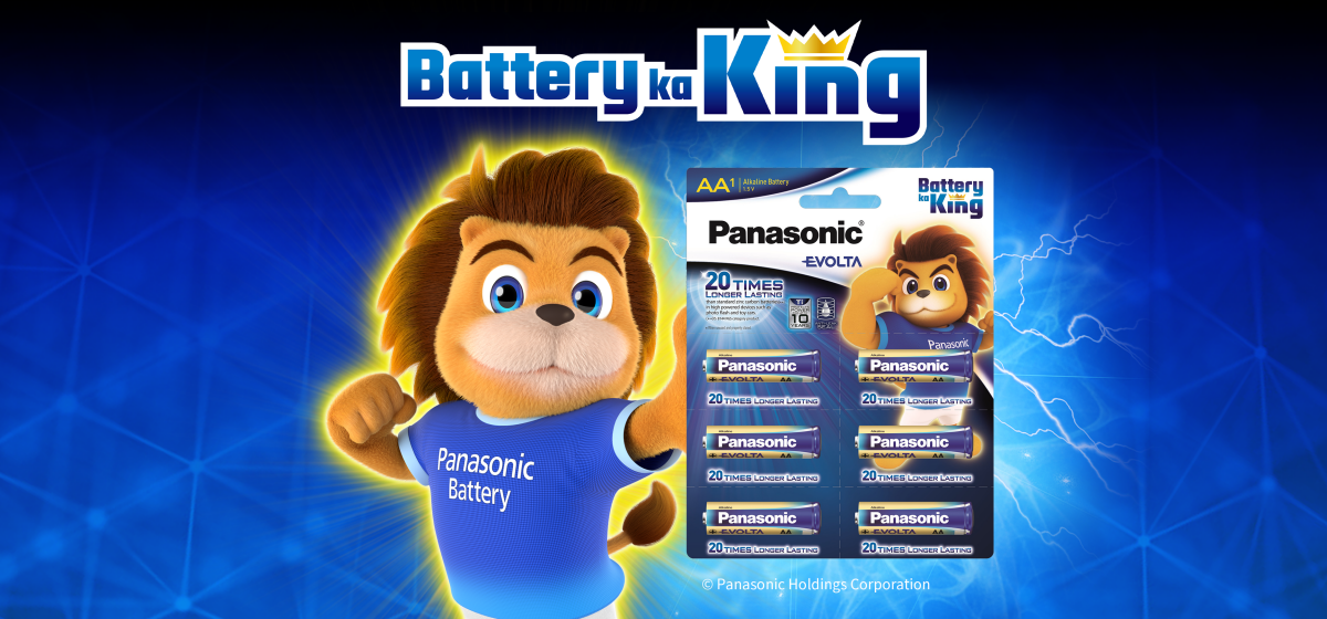 Panasonic EVOLTA AA Alkaline Battery 1.5V LR6EGDG/1B6