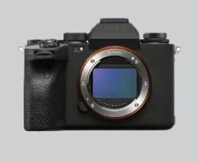 Mirrorless Camera Bodies