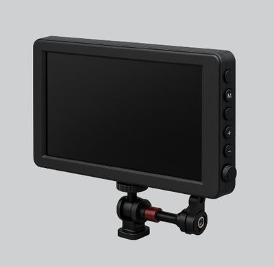 Camera Field Monitors