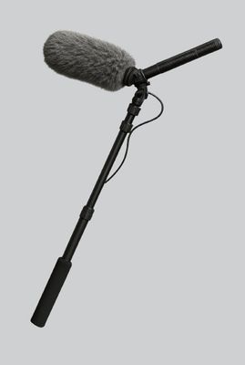 Microphone Boompoles