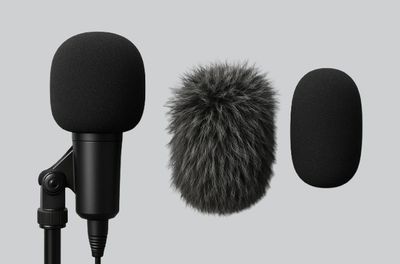 Microphone Windshields