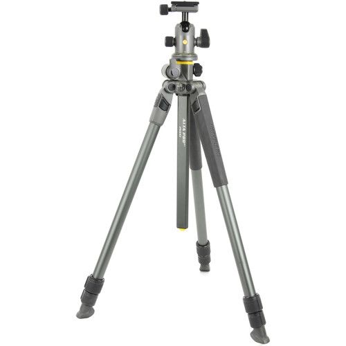 Vanguard Aluminum-Alloy Tripod Kit ALTA PRO 2+ 263AB 100 with Ball Head ALTA BH-100