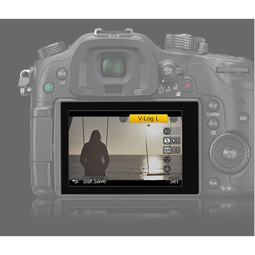 Panasonic V-Log Firmware Upgrade Software Key DMW-SFU1GU for GH4