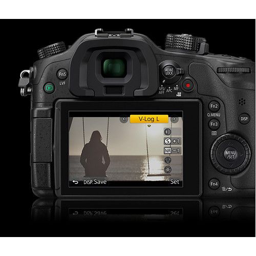 Panasonic V-Log Firmware Upgrade Software Key DMW-SFU1GU for GH4