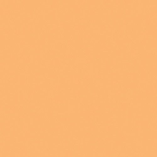 LEE Filters CTO Daylight Conversion Filter 204R