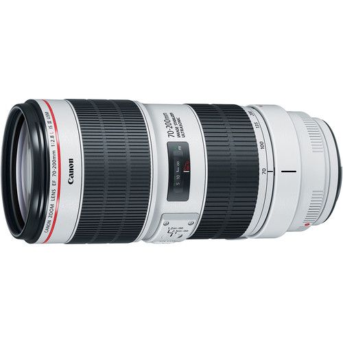 Canon Telephoto Zoom Lens EF70-200mm f/2.8L IS III USM 3044C002