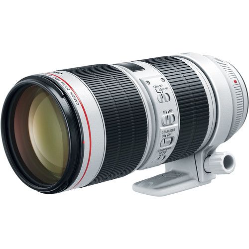 Canon Telephoto Zoom Lens EF70-200mm f/2.8L IS III USM 3044C002