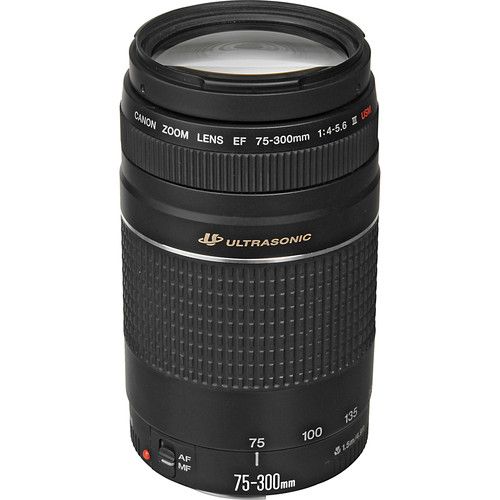 Canon Telephoto Zoom Lens EF75-300mm f/4-5.6 III USM 6472A002