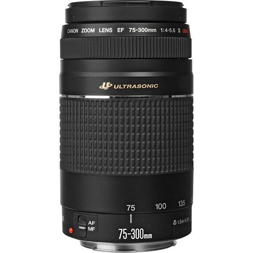 Canon Telephoto Zoom Lens EF75-300mm f/4-5.6 III USM 6472A002