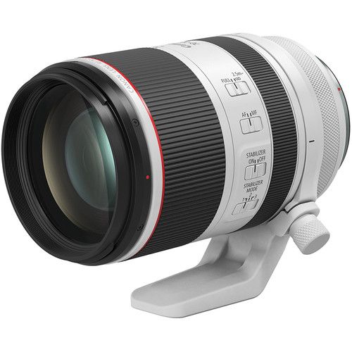 Canon Telephoto Zoom Lens RF70-200mm f/2.8L IS USM 3792C002