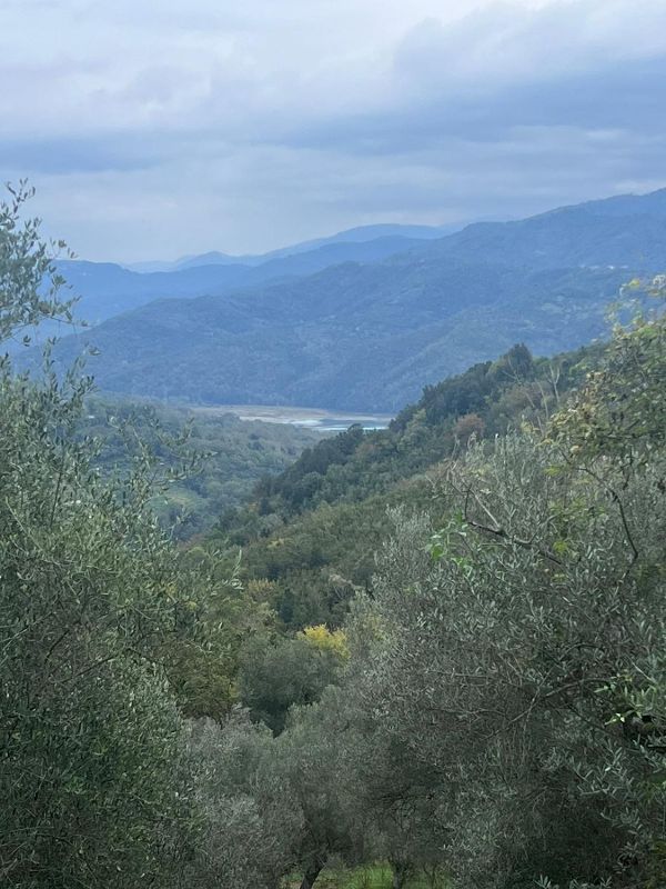 Terreno Prignano Cilento