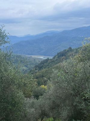 Terreno Prignano Cilento