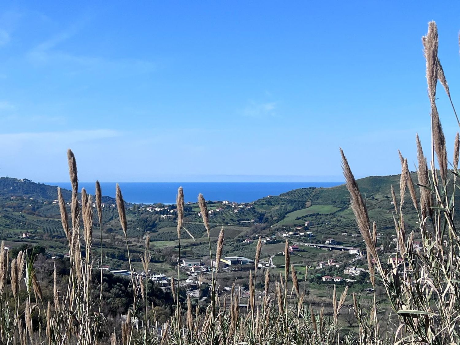 Terreno Laureana Cilento