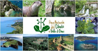 Cilento in vendita