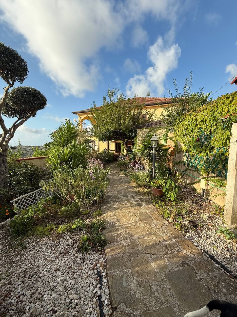 Appartamento con ingresso indipendente - Ogliastro Cilento
