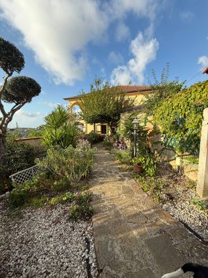 Appartamento con ingresso indipendente - Ogliastro Cilento