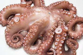 Octopus from Spain [Sushi Grade] (5.62 lbs) (Frozen) (Delivers Next Day)