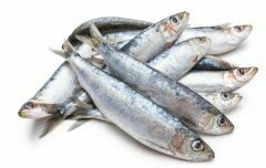 Portuguese Frozen Sardines 700gr