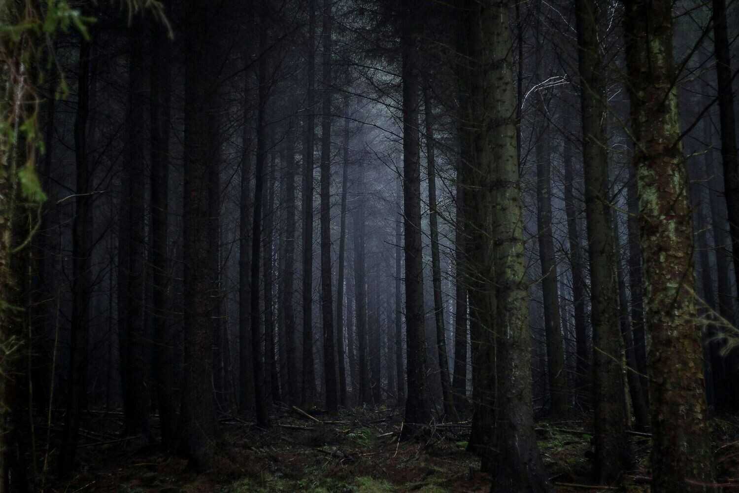 The Dark with Neel Arya - 31-May-24