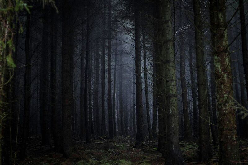 The Dark with Neel Arya - 31-May-24