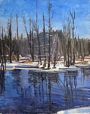 Pine Barrens - 29"x24" - Oil on Canvas