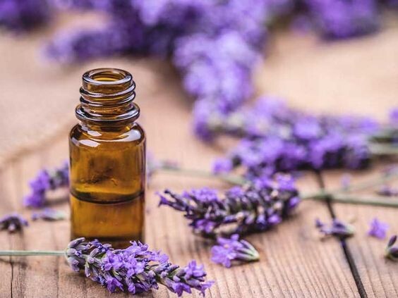 Lavender Oil 30ml