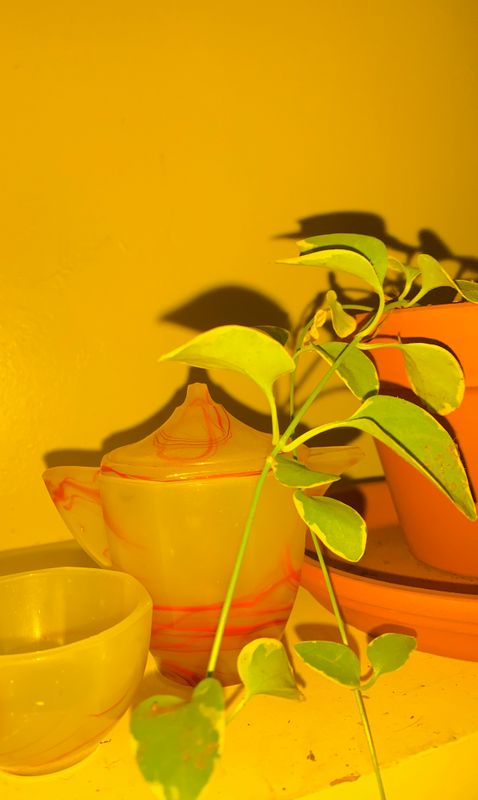 Retro Yellow