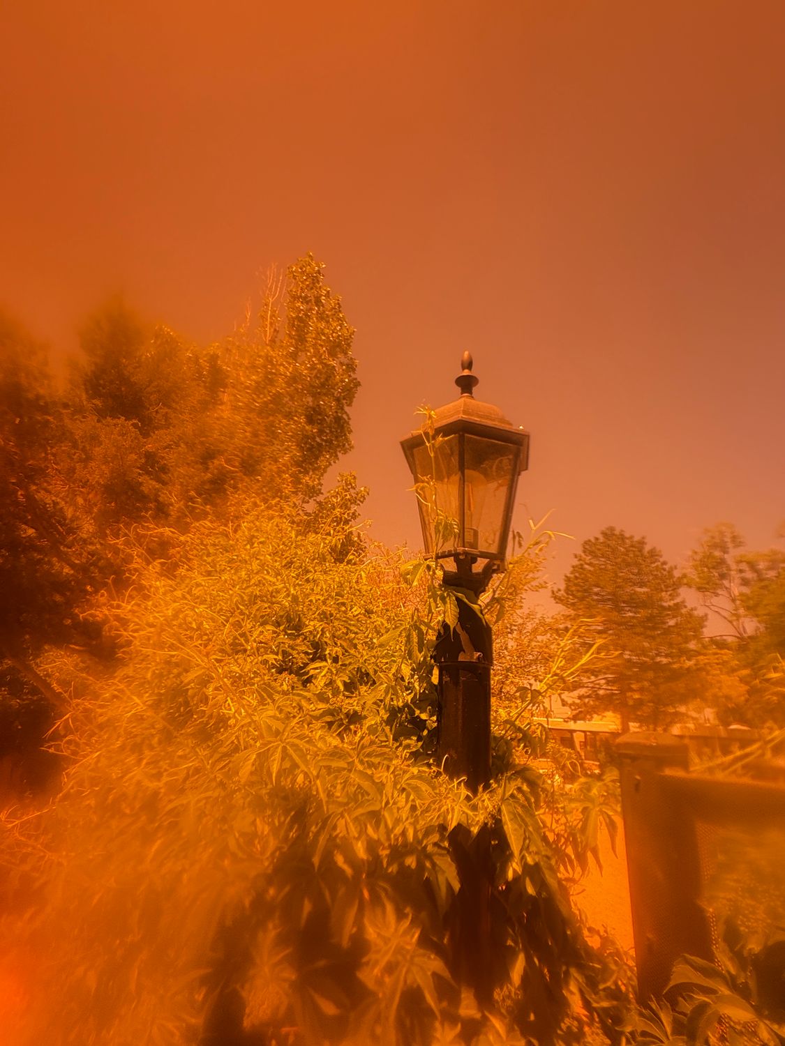 Dream Camera Lens Filter