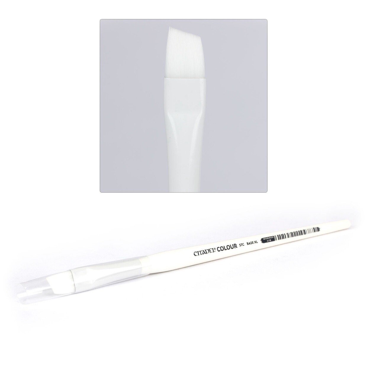 Citadel: STC XL Base Brush (Synthetic)