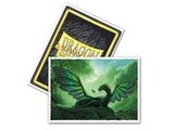 Dragon Shield Sleeves Standard Size 100pk - Rayalda Matte Art