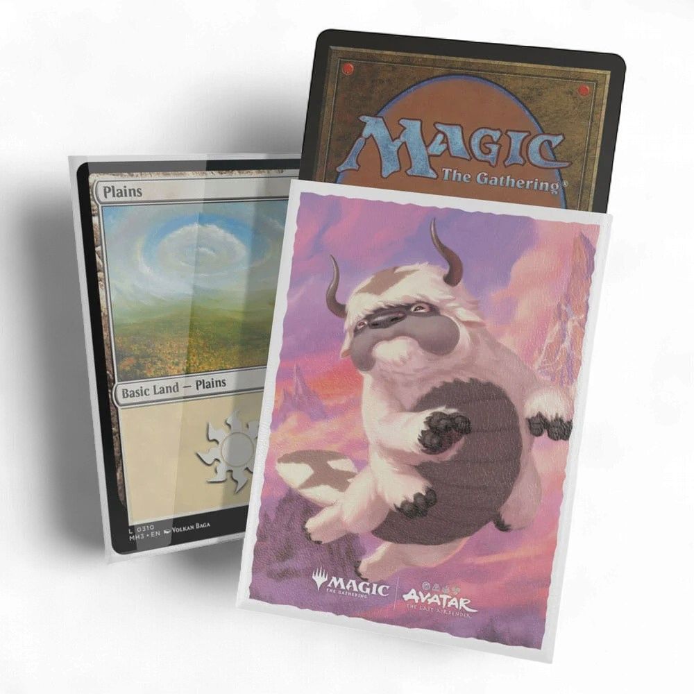 Magic Sleeves - Avatar: The Last Airbender - Appa Aang's Companion