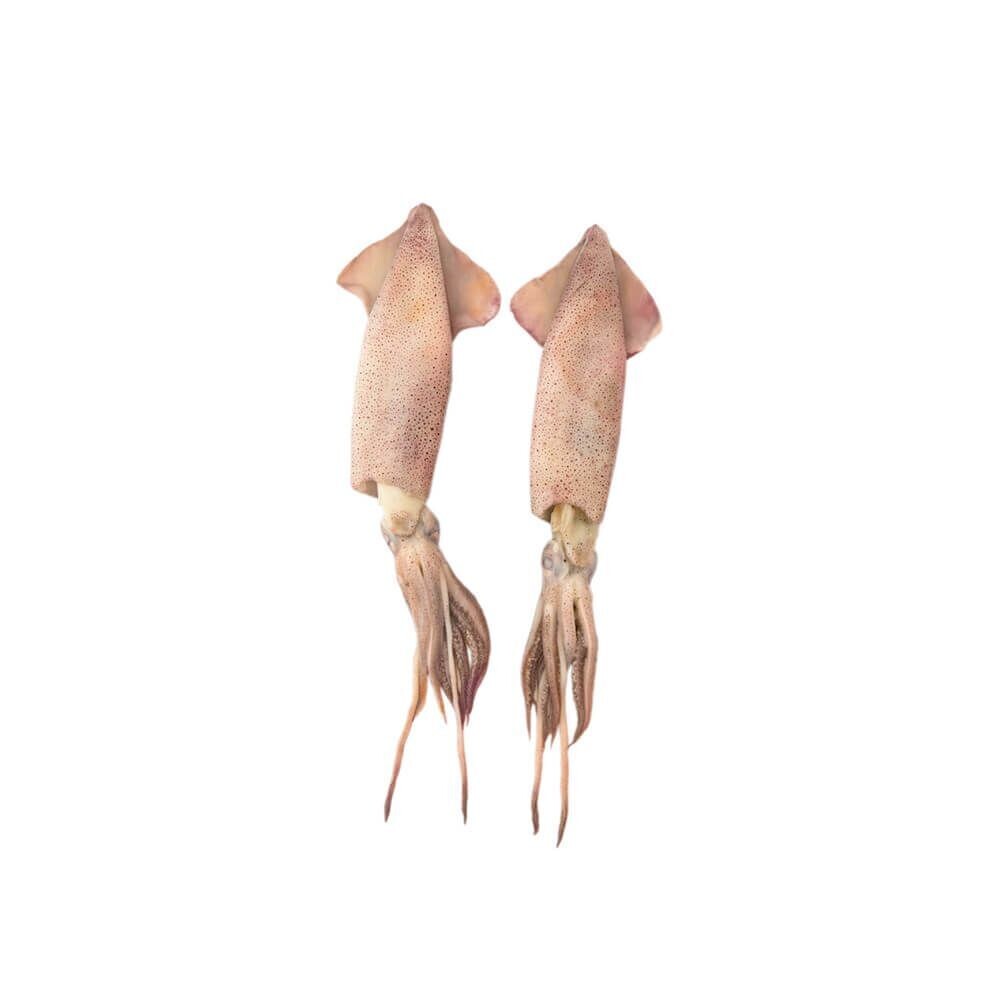 1 lbs Squid - Calamar Sucio
