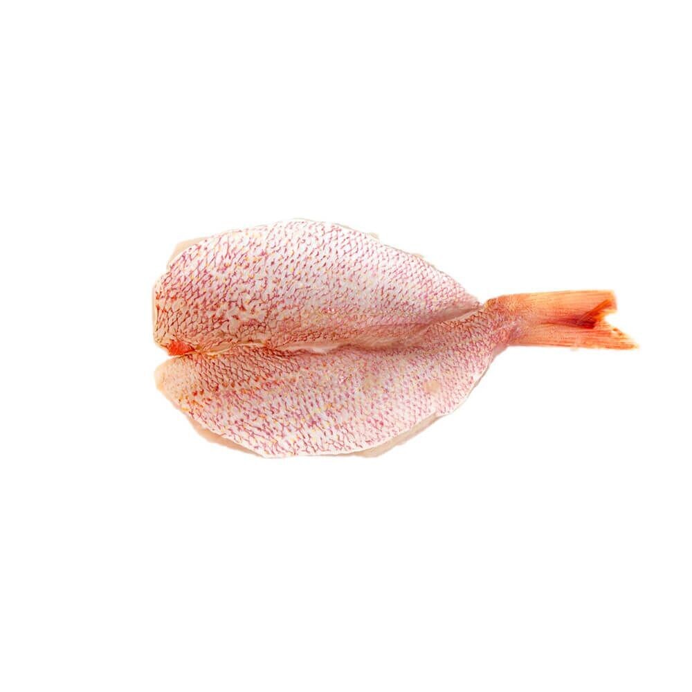 4 lbs B-Liner peq - Minuta de Pargo