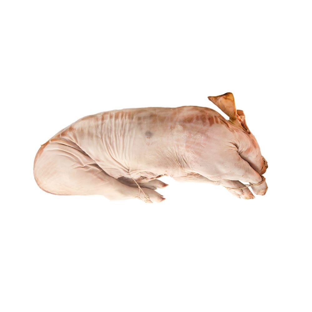 Whole Pig 60/70 - Puerco entero 60/70