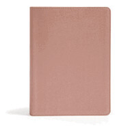 CSB She Reads Truth Bible Rose Gold