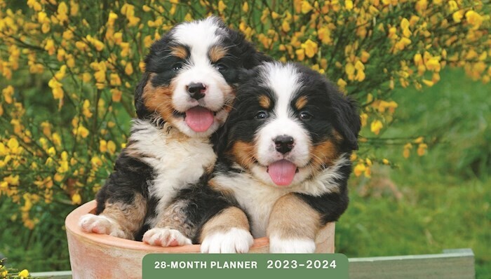J7882-28 month planner-Puppies ('23-'24)