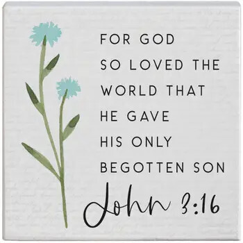 STS1733-John 3:16 Small Talk Square