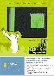 TNIV Inspired By Bible Experience Bib-Blk/Lime Duo