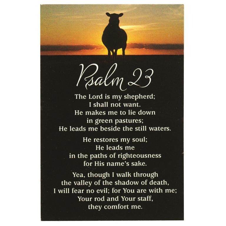 IBB-165 ITTY BITTY BLESSING PSALM 23 2&quot;X 3&quot; CARD