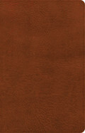 NASB Large Print Personal Size Reference Bible, Burnt Sienna Leathertouch, Indexed