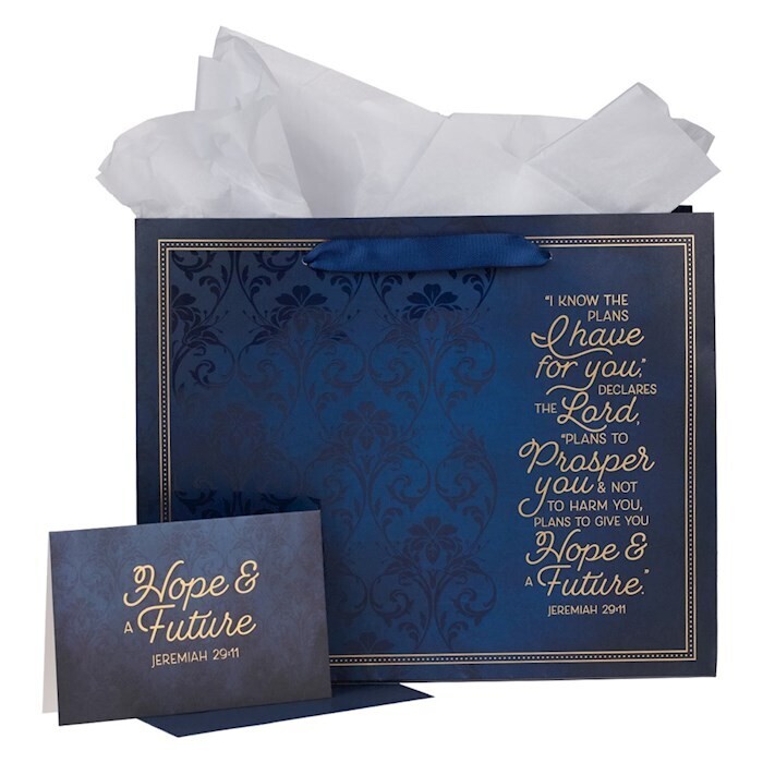 GBA338 I Know The Plans Gift Bag With Card Large