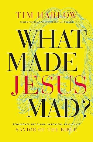 What Made Jesus Mad? Hardcover
