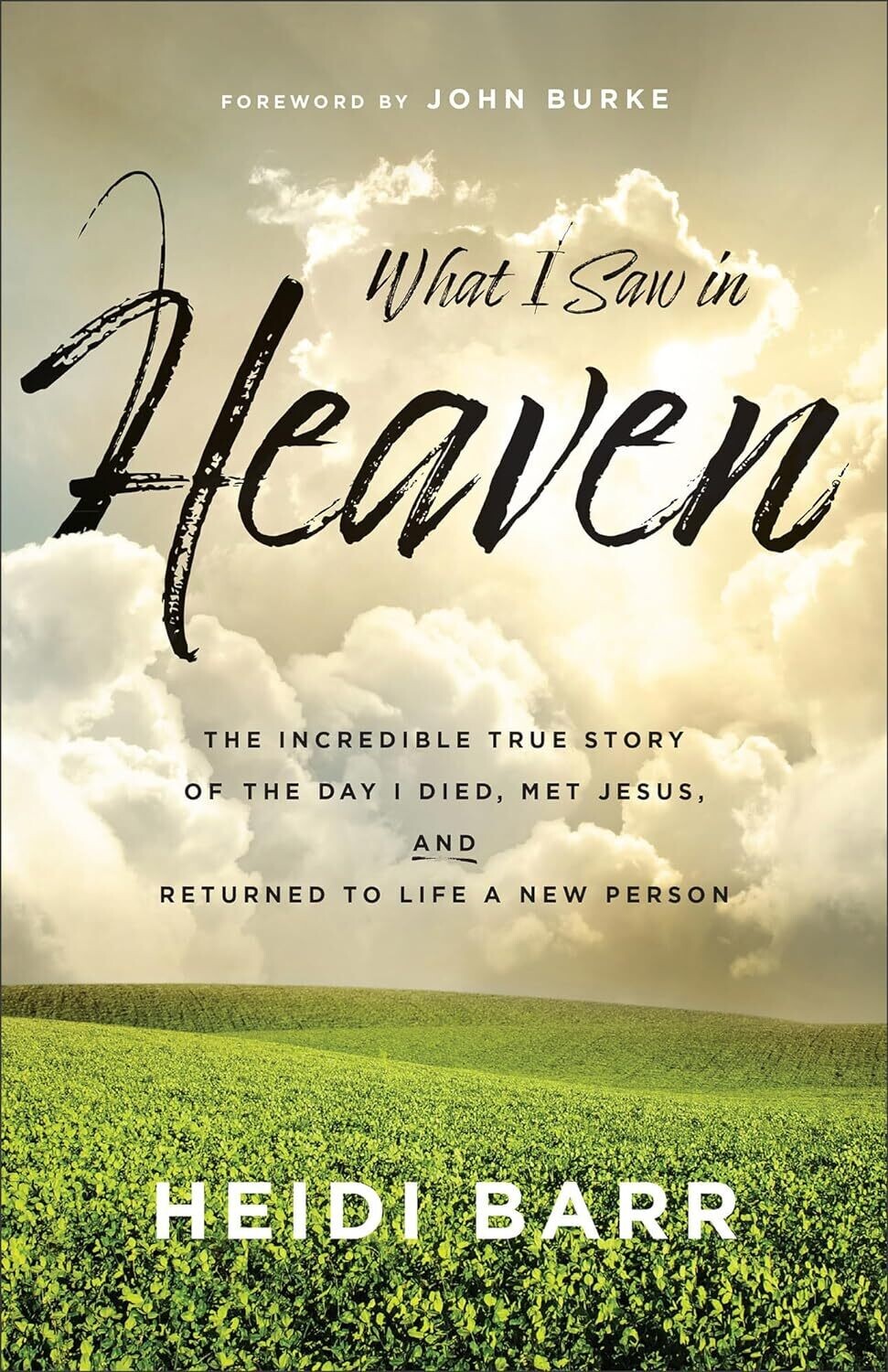 What I Saw in Heaven- Heidi Barr