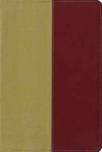 KJV &amp; AMP Parallel Bible