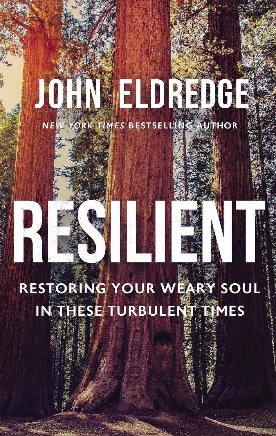 Resilient: Restoring Your Weary Soul in These Turbulent Times - John Eldredge