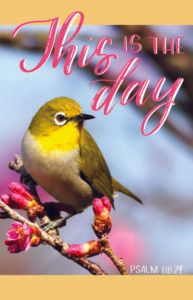 Rejoice and Be Glad Bulletin (Pkg 100) General Worship