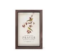 And Whatever You Ask In Prayer 5x7 Framed Art