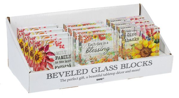 Beveled Glass Blocks