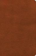 CSB Large Print Personal Size Reference Bible, Digital Study Edition, Burnt Sienna Leathertouch